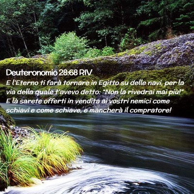 Picture 02 - Deuteronomio 28:68 RIV - E l’Eterno ti farà tornare in Egitto su delle - Bible Verse Picture
