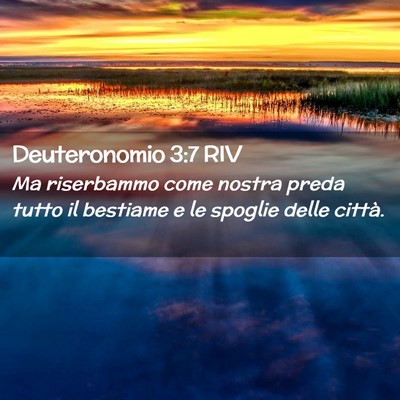 Picture 02 - Deuteronomio 3:7 RIV - Ma riserbammo come nostra preda tutto il bestiame - Bible Verse Picture