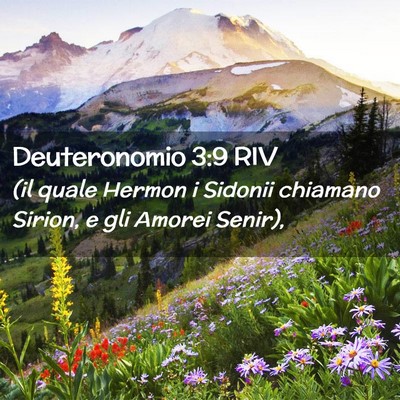 Picture 02 - Deuteronomio 3:9 RIV - (il quale Hermon i Sidonii chiamano Sirion, e gli - Bible Verse Picture