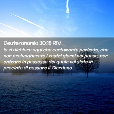 Picture 02 - Deuteronomio 30:18 RIV - io vi dichiaro oggi che certamente perirete, che - Bible Verse Picture