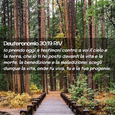 Picture 02 - Deuteronomio 30:19 RIV - Io prendo oggi a testimoni contro a voi il cielo - Bible Verse Picture