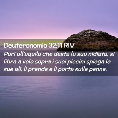 Picture 02 - Deuteronomio 32:11 RIV - Pari all’aquila che desta la sua nidiata, si - Bible Verse Picture