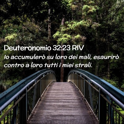 Picture 02 - Deuteronomio 32:23 RIV - Io accumulerò su loro dei mali, esaurirò contro - Bible Verse Picture