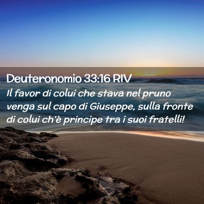 Picture 02 - Deuteronomio 33:16 RIV - Il favor di colui che stava nel pruno venga sul - Bible Verse Picture