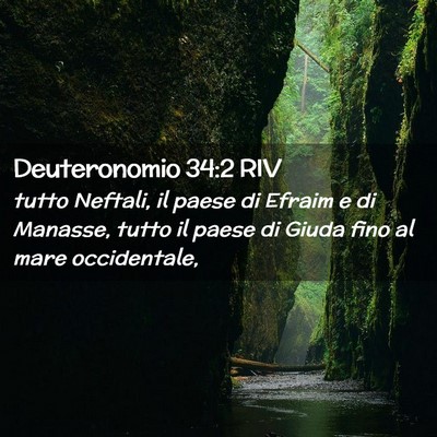 Picture 02 - Deuteronomio 34:2 RIV - tutto Neftali, il paese di Efraim e di Manasse, - Bible Verse Picture