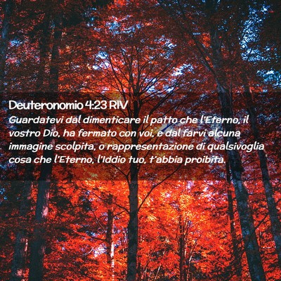 Picture 02 - Deuteronomio 4:23 RIV - Guardatevi dal dimenticare il patto che - Bible Verse Picture