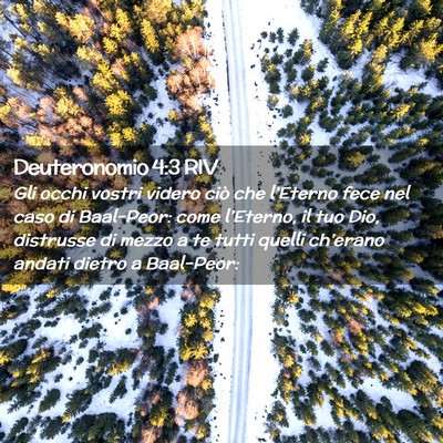 Picture 02 - Deuteronomio 4:3 RIV - Gli occhi vostri videro ciò che l’Eterno fece - Bible Verse Picture