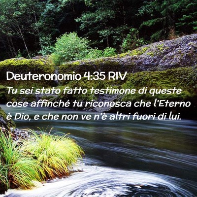 Picture 02 - Deuteronomio 4:35 RIV - Tu sei stato fatto testimone di queste cose - Bible Verse Picture