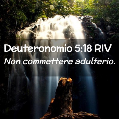 Picture 02 - Deuteronomio 5:18 RIV - Non commettere - Bible Verse Picture