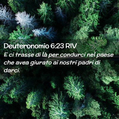Picture 02 - Deuteronomio 6:23 RIV - E ci trasse di là per condurci nel paese che - Bible Verse Picture