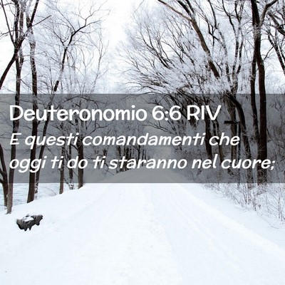 Picture 02 - Deuteronomio 6:6 RIV - E questi comandamenti che oggi ti do ti staranno - Bible Verse Picture