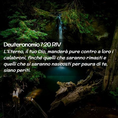 Picture 02 - Deuteronomio 7:20 RIV - L’Eterno, il tuo Dio, manderà pure contro a - Bible Verse Picture