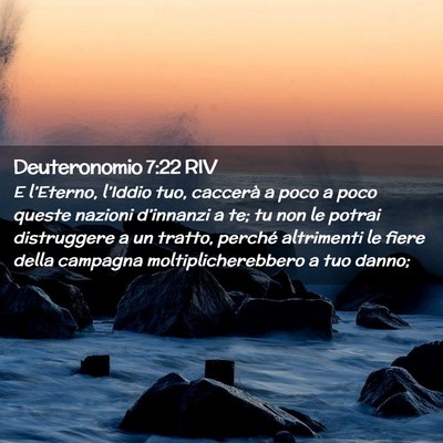 Picture 02 - Deuteronomio 7:22 RIV - E l’Eterno, l’Iddio tuo, caccerà a poco a - Bible Verse Picture
