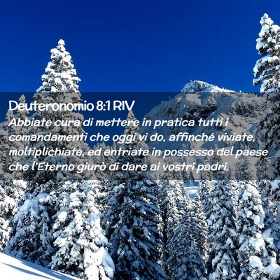 Picture 02 - Deuteronomio 8:1 RIV - Abbiate cura di mettere in pratica tutti i - Bible Verse Picture