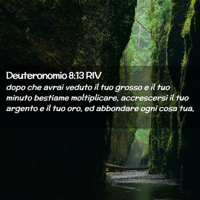Picture 02 - Deuteronomio 8:13 RIV - dopo che avrai veduto il tuo grosso e il tuo - Bible Verse Picture