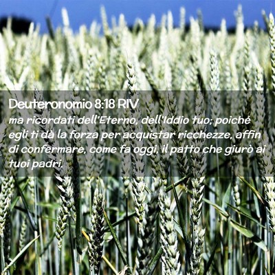 Picture 02 - Deuteronomio 8:18 RIV - ma ricordati dell’Eterno, dell’Iddio tuo; - Bible Verse Picture