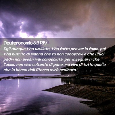 Picture 02 - Deuteronomio 8:3 RIV - Egli dunque t’ha umiliato, t’ha fatto provar - Bible Verse Picture