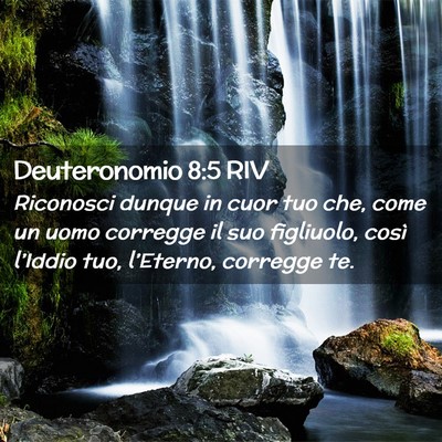 Picture 02 - Deuteronomio 8:5 RIV - Riconosci dunque in cuor tuo che, come un uomo - Bible Verse Picture