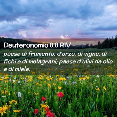 Picture 02 - Deuteronomio 8:8 RIV - paese di frumento, d’orzo, di vigne, di fichi e - Bible Verse Picture
