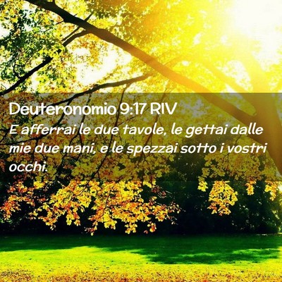 Picture 02 - Deuteronomio 9:17 RIV - E afferrai le due tavole, le gettai dalle mie due - Bible Verse Picture