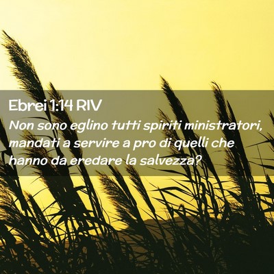 Picture 02 - Ebrei 1:14 RIV - Non sono eglino tutti spiriti ministratori, - Bible Verse Picture