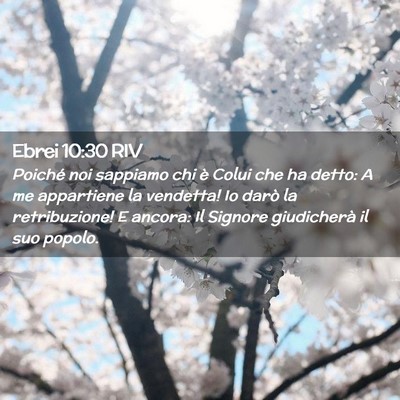 Picture 02 - Ebrei 10:30 RIV - Poiché noi sappiamo chi è Colui che ha detto: A - Bible Verse Picture