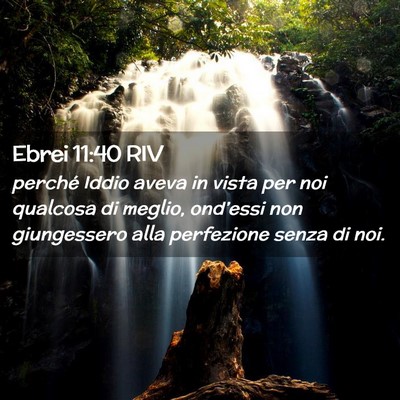 Picture 02 - Ebrei 11:40 RIV - perché Iddio aveva in vista per noi qualcosa di - Bible Verse Picture
