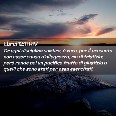 Picture 02 - Ebrei 12:11 RIV - Or ogni disciplina sembra, è vero, per il - Bible Verse Picture