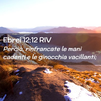 Picture 02 - Ebrei 12:12 RIV - Perciò, rinfrancate le mani cadenti e le - Bible Verse Picture