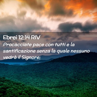 Picture 02 - Ebrei 12:14 RIV - Procacciate pace con tutti e la santificazione - Bible Verse Picture