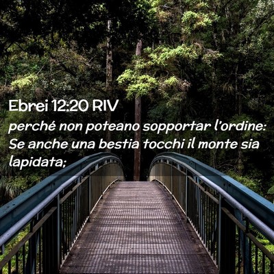 Picture 02 - Ebrei 12:20 RIV - perché non poteano sopportar l’ordine: Se - Bible Verse Picture