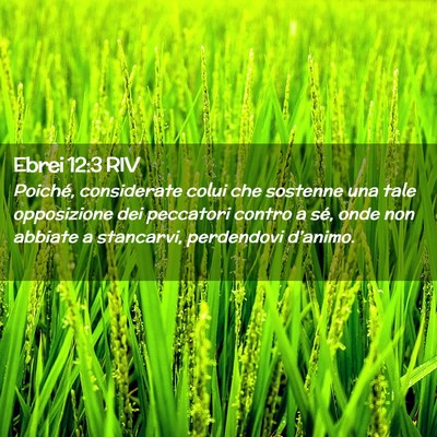 Picture 02 - Ebrei 12:3 RIV - Poiché, considerate colui che sostenne una tale - Bible Verse Picture