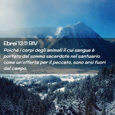 Picture 02 - Ebrei 13:11 RIV - Poiché i corpi degli animali il cui sangue è - Bible Verse Picture
