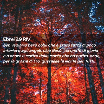 Picture 02 - Ebrei 2:9 RIV - ben vediamo però colui che è stato fatto di - Bible Verse Picture