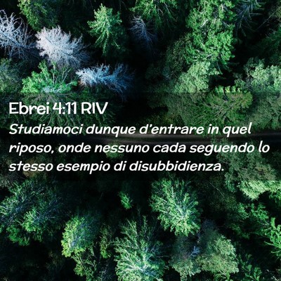 Picture 02 - Ebrei 4:11 RIV - Studiamoci dunque d’entrare in quel riposo, - Bible Verse Picture