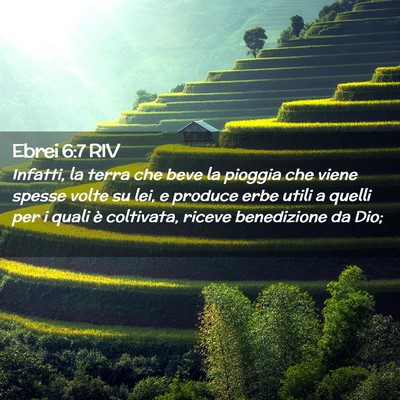 Picture 02 - Ebrei 6:7 RIV - Infatti, la terra che beve la pioggia che viene - Bible Verse Picture