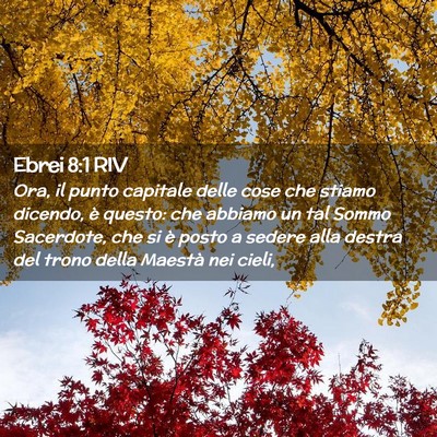 Picture 02 - Ebrei 8:1 RIV - Ora, il punto capitale delle cose che stiamo - Bible Verse Picture