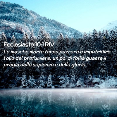 Picture 02 - Ecclesiaste 10:1 RIV - Le mosche morte fanno puzzare e imputridire - Bible Verse Picture