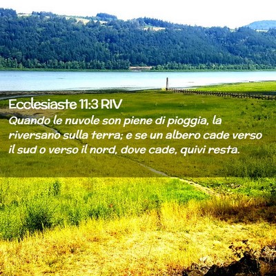 Picture 02 - Ecclesiaste 11:3 RIV - Quando le nuvole son piene di pioggia, la - Bible Verse Picture