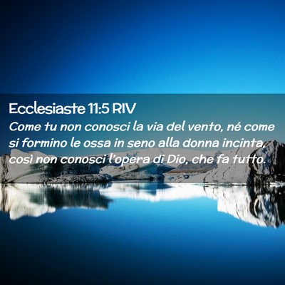 Picture 02 - Ecclesiaste 11:5 RIV - Come tu non conosci la via del vento, né come si - Bible Verse Picture
