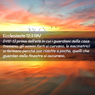 Picture 02 - Ecclesiaste 12:3 RIV - (H12-5) prima dell’età in cui i guardiani - Bible Verse Picture