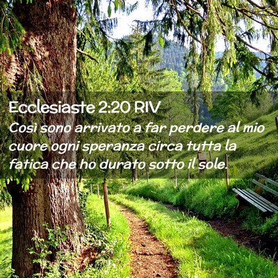 Picture 02 - Ecclesiaste 2:20 RIV - Così sono arrivato a far perdere al mio cuore - Bible Verse Picture
