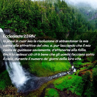 Picture 02 - Ecclesiaste 2:3 RIV - Io presi in cuor mio la risoluzione di abbandonar - Bible Verse Picture