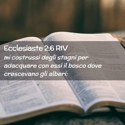 Picture 02 - Ecclesiaste 2:6 RIV - mi costrussi degli stagni per adacquare con essi - Bible Verse Picture