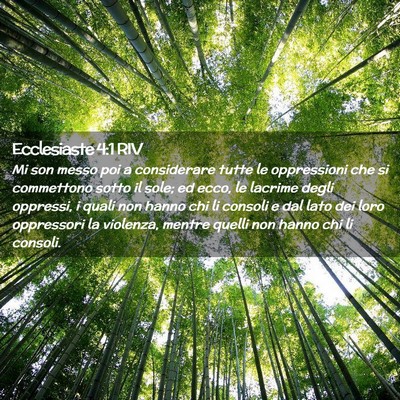 Picture 02 - Ecclesiaste 4:1 RIV - Mi son messo poi a considerare tutte le - Bible Verse Picture