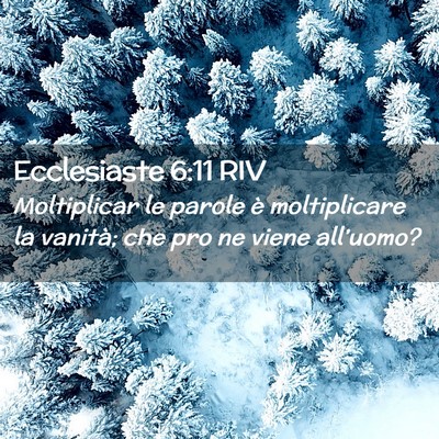 Picture 02 - Ecclesiaste 6:11 RIV - Moltiplicar le parole è moltiplicare la vanità; - Bible Verse Picture