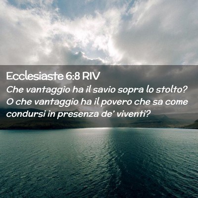 Picture 02 - Ecclesiaste 6:8 RIV - Che vantaggio ha il savio sopra lo stolto? O che - Bible Verse Picture