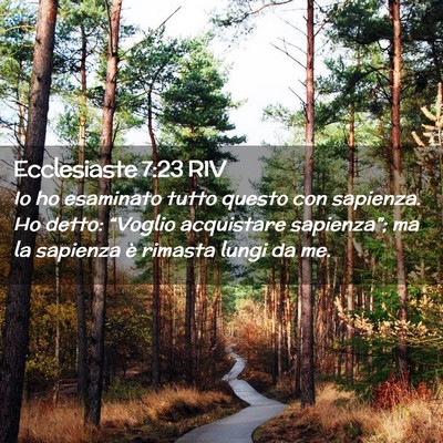 Picture 02 - Ecclesiaste 7:23 RIV - Io ho esaminato tutto questo con sapienza. Ho - Bible Verse Picture