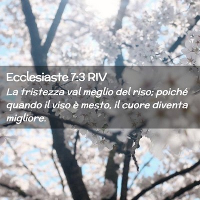 Picture 02 - Ecclesiaste 7:3 RIV - La tristezza val meglio del riso; poiché quando - Bible Verse Picture