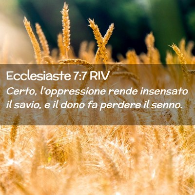 Picture 02 - Ecclesiaste 7:7 RIV - Certo, l’oppressione rende insensato il savio, - Bible Verse Picture